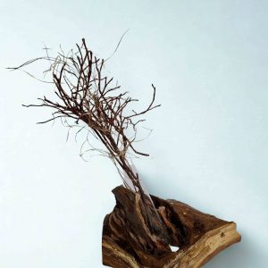 Vase-10